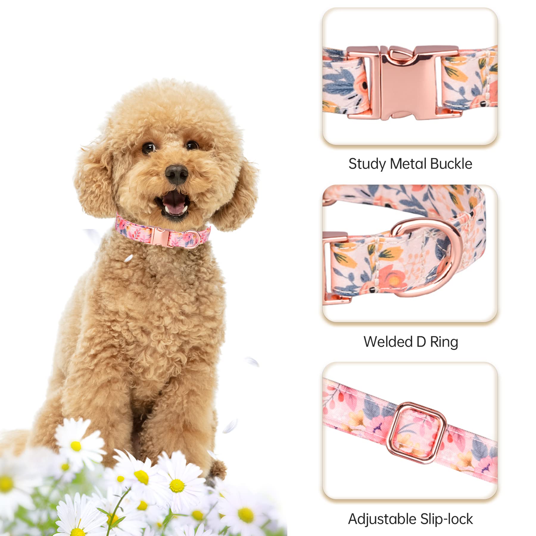 Amazon.co.jp: AIMJGO 犬用首輪 リボン付き 花柄プリント 春 犬 蝶